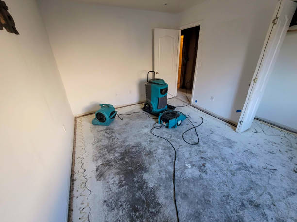  Thunder Mountain, NM Water damage restoration Pros