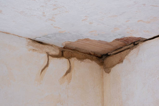 Best Water damage contractors near me  in Thunder Mountain, NM