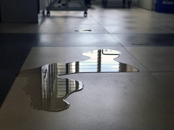Best Water damage restoration cost  in Thunder Mountain, NM