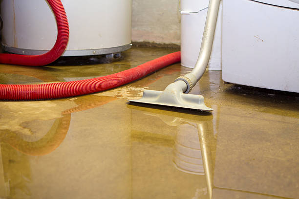 Best Residential water damage restoration  in Thunder Mountain, NM