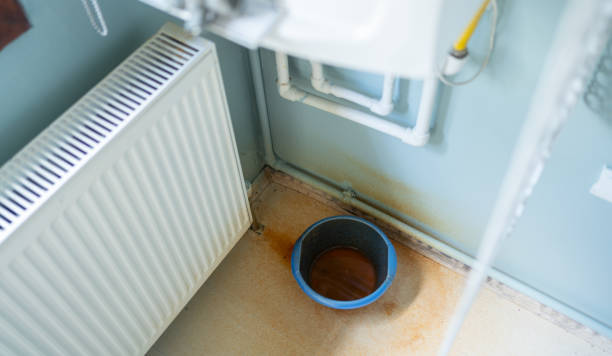 Best Water damage contractors near me  in Thunder Mountain, NM